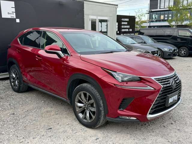 TOYOTA LEXUS NX300h 2018