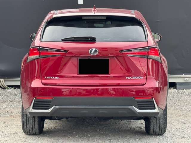 TOYOTA LEXUS NX300h 2018
