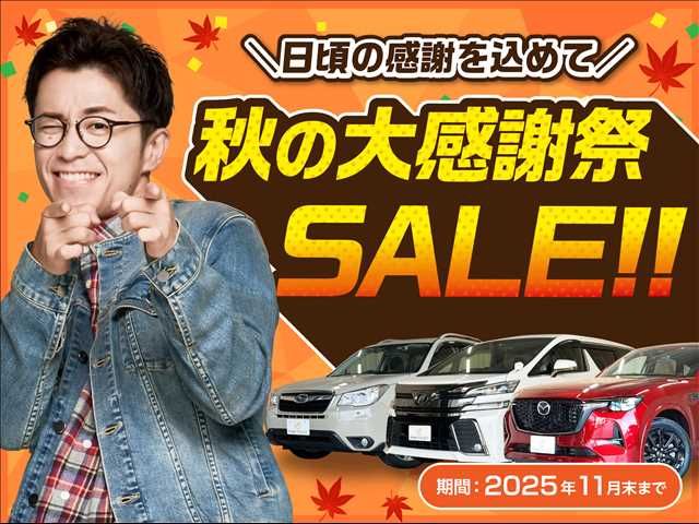 TOYOTA MARK X 2013