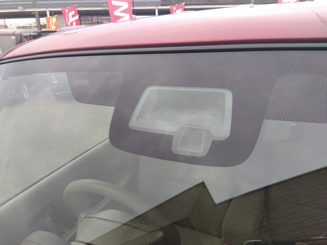 SUZUKI ALTO LAPIN 2019