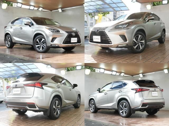 TOYOTA LEXUS NX300h AWD 2020