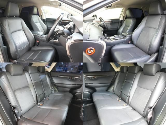 TOYOTA LEXUS NX300h AWD 2020