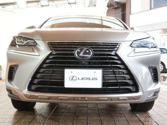 TOYOTA LEXUS NX300h AWD 2020