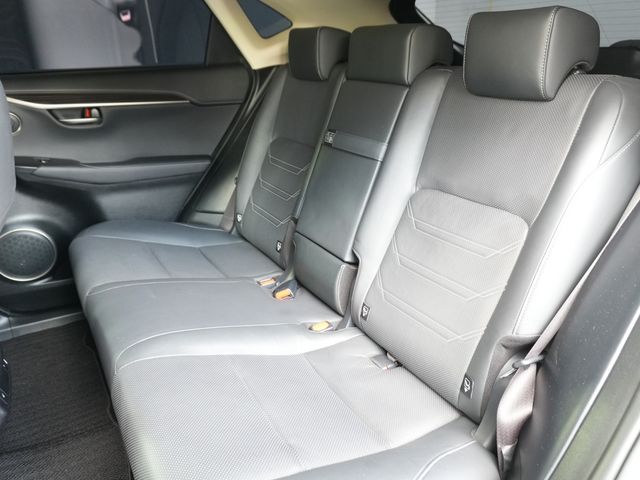 TOYOTA LEXUS NX300h AWD 2020