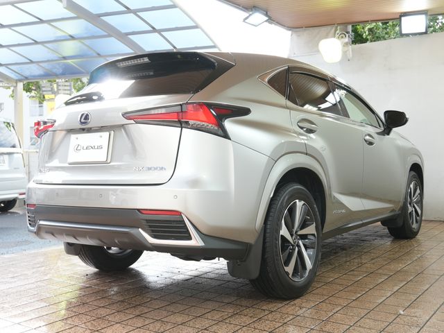 TOYOTA LEXUS NX300h AWD 2020