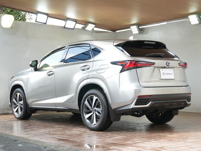 TOYOTA LEXUS NX300h AWD 2020