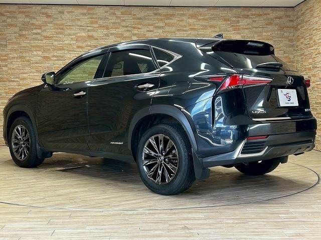 TOYOTA LEXUS NX300h AWD 2018