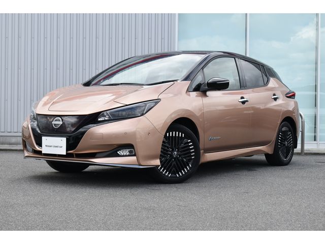 NISSAN LEAF 2023