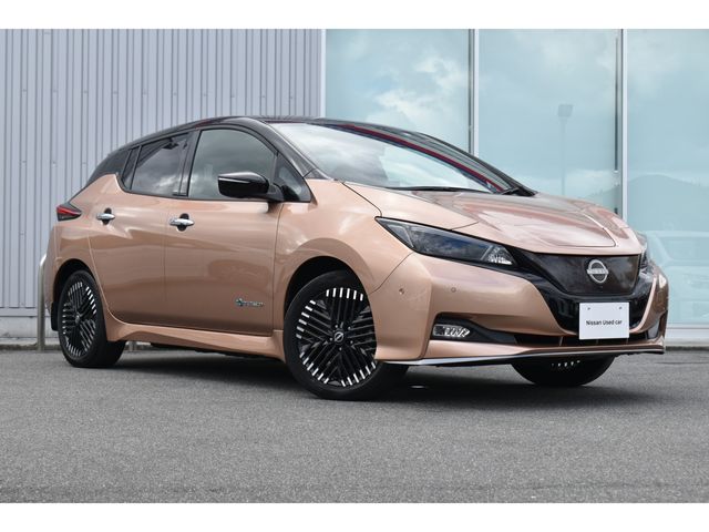 NISSAN LEAF 2023