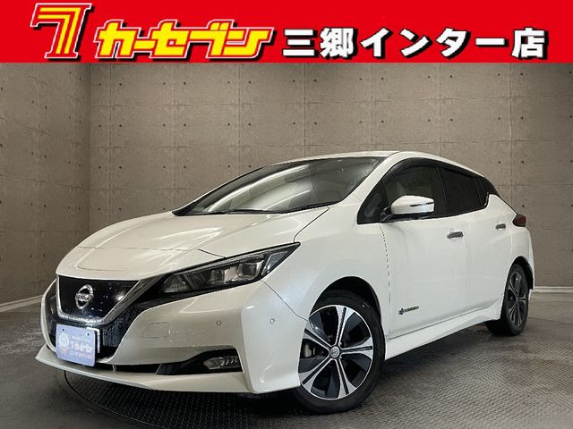 NISSAN LEAF 2018
