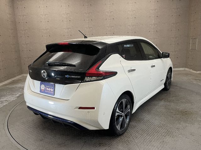 NISSAN LEAF 2018