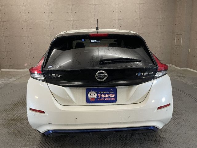 NISSAN LEAF 2018