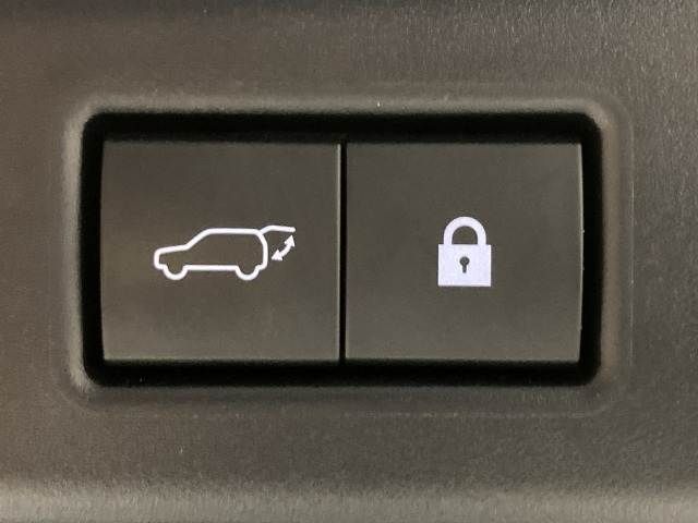 TOYOTA LEXUS RX300 2020