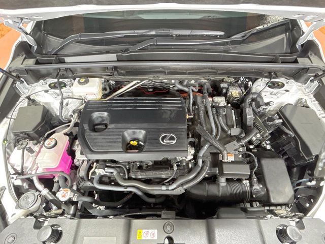 TOYOTA LEXUS NX350h 2023
