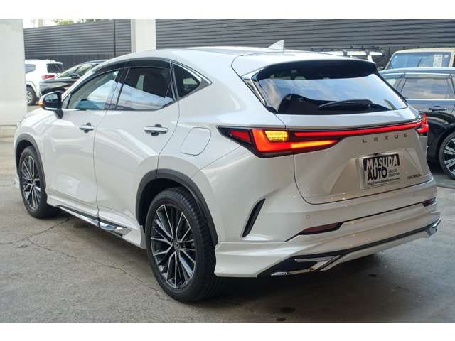 TOYOTA LEXUS NX350h 2024