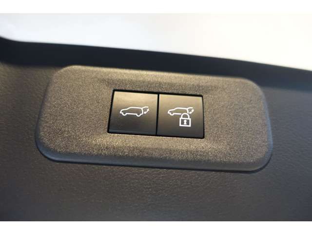 TOYOTA LEXUS NX350h 2024