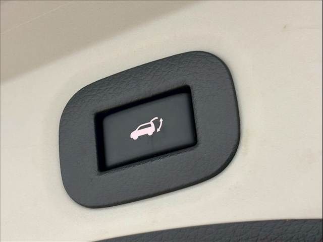 NISSAN X-TRAIL HYBRID 4WD 2019