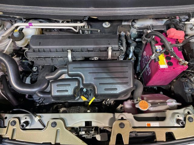 DAIHATSU CAST ACTIVA 2019