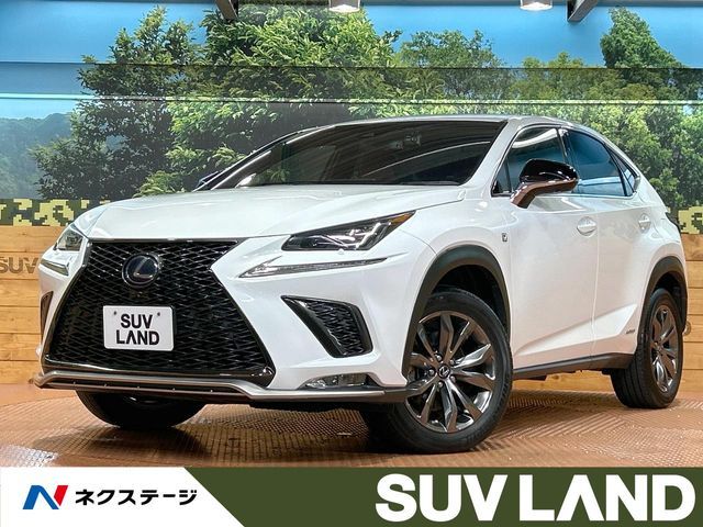 TOYOTA LEXUS NX300h 2019 