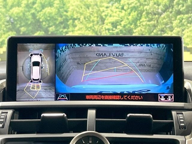 TOYOTA LEXUS NX300h 2019