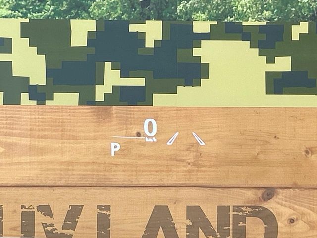 TOYOTA LEXUS NX300h 2019