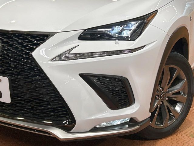 TOYOTA LEXUS NX300h 2019