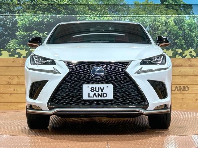 TOYOTA LEXUS NX300h 2019