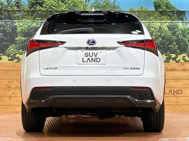 TOYOTA LEXUS NX300h 2019
