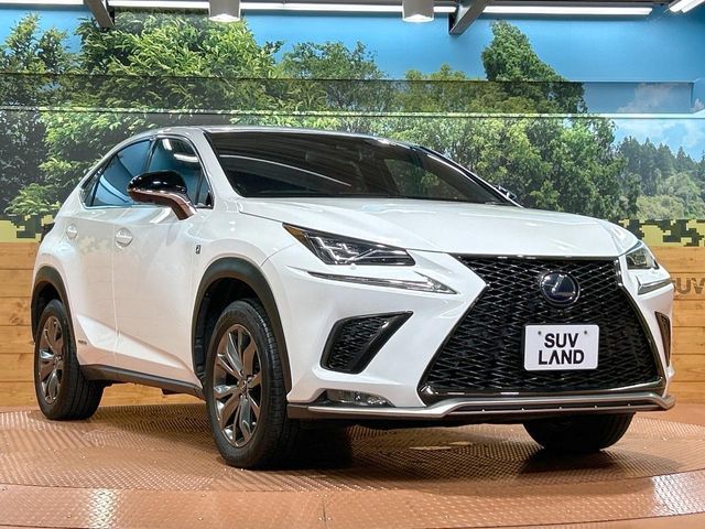 TOYOTA LEXUS NX300h 2019