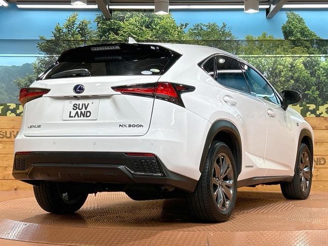 TOYOTA LEXUS NX300h 2019