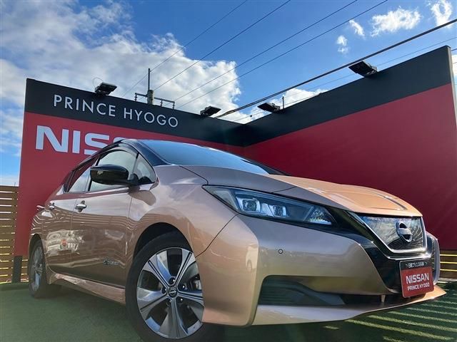 NISSAN LEAF 2021