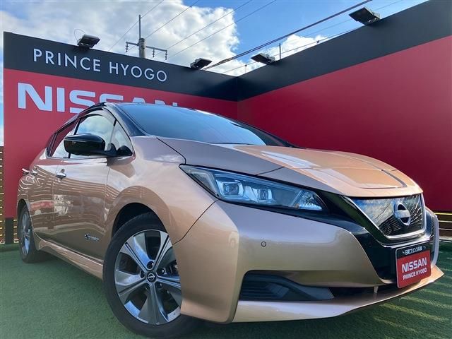 NISSAN LEAF 2021
