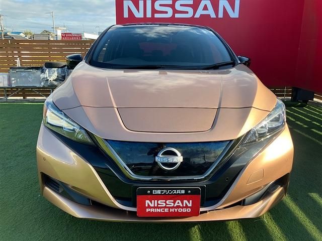 NISSAN LEAF 2021