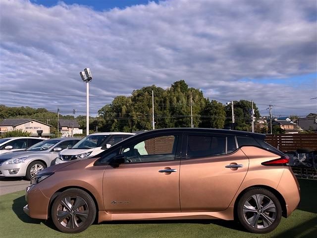 NISSAN LEAF 2021