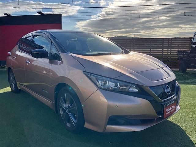 NISSAN LEAF 2021