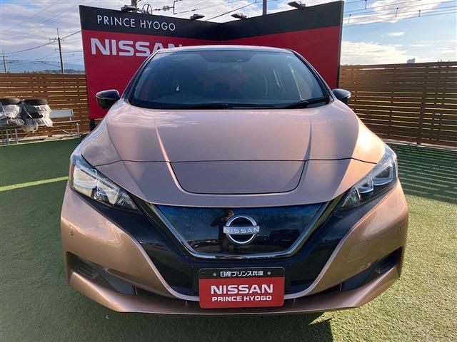 NISSAN LEAF 2021