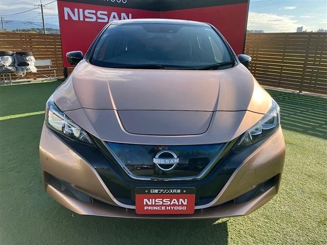 NISSAN LEAF 2021