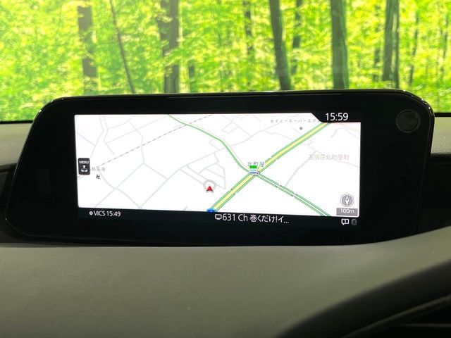 MAZDA MAZDA3 FASTBACK 2019