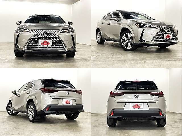 TOYOTA LEXUS UX250h 2023