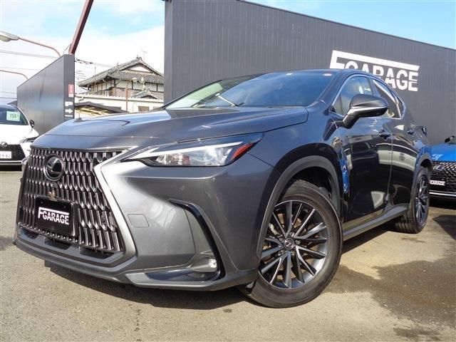 TOYOTA LEXUS NX250 2023