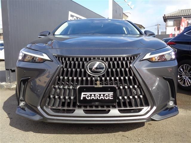 TOYOTA LEXUS NX250 2023