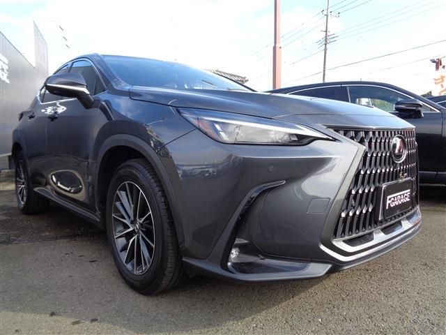 TOYOTA LEXUS NX250 2023