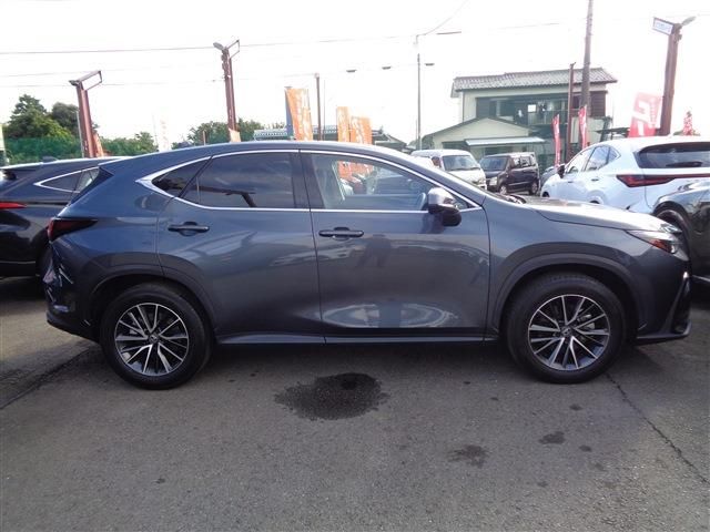TOYOTA LEXUS NX250 2023