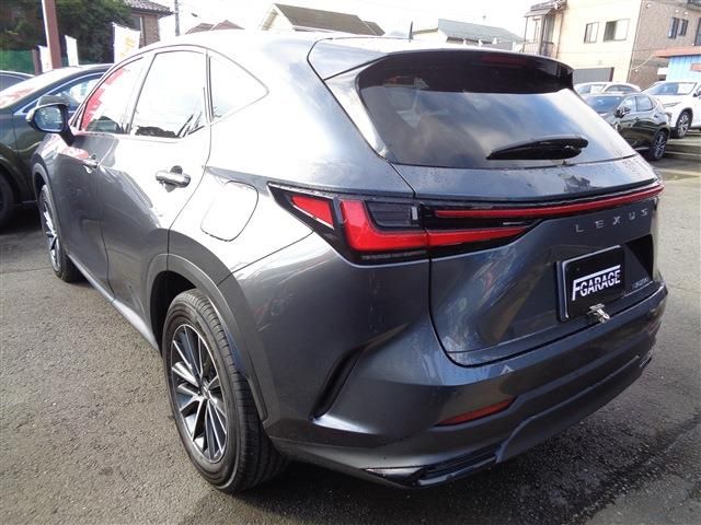 TOYOTA LEXUS NX250 2023