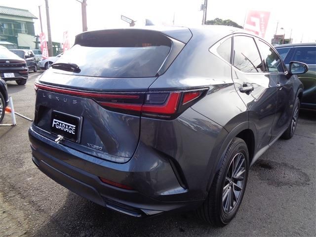 TOYOTA LEXUS NX250 2023