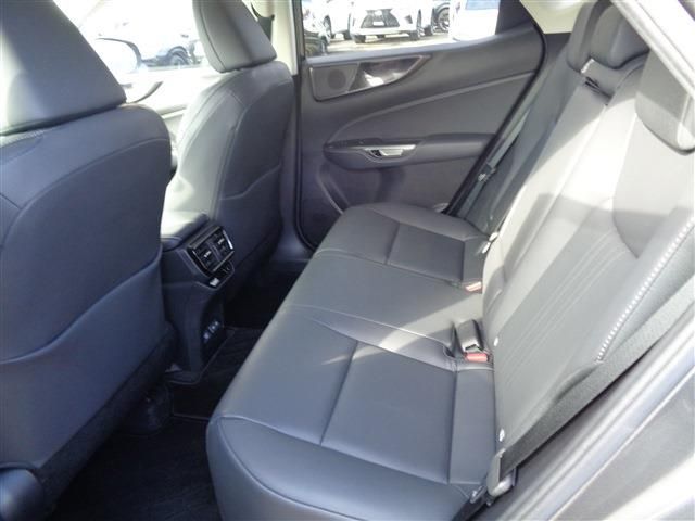 TOYOTA LEXUS NX250 2023