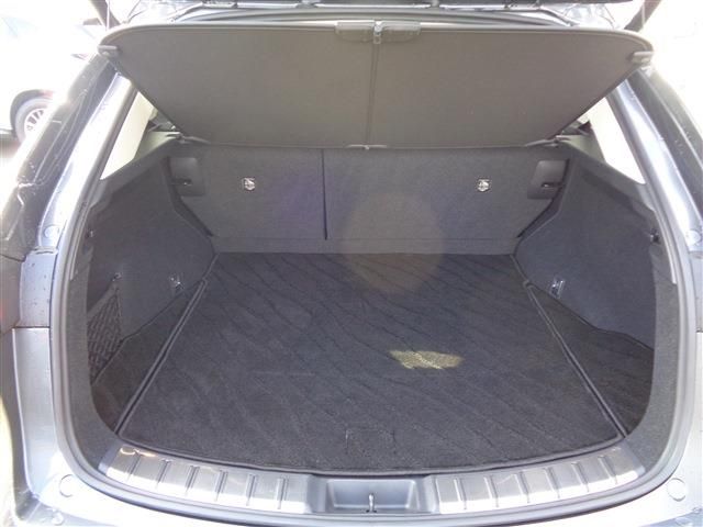 TOYOTA LEXUS NX250 2023