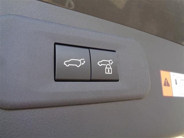 TOYOTA LEXUS NX250 2023