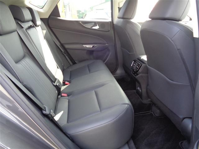 TOYOTA LEXUS NX250 2023