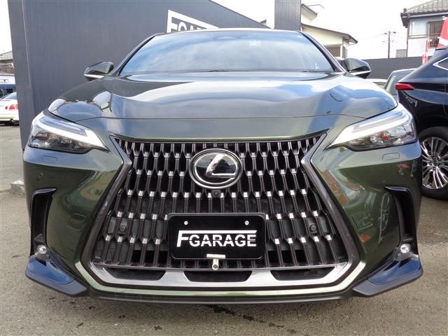 TOYOTA LEXUS NX350h 2022